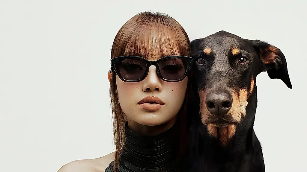 Meta ficha a Lisa para sus gafas