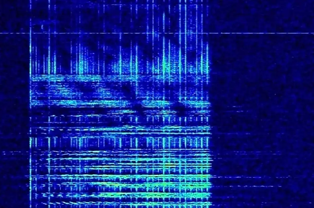 УВБ-76 снова заговорила: «НЖТИ 00717 НАКОПИТЕЛЬ 7865 4500»