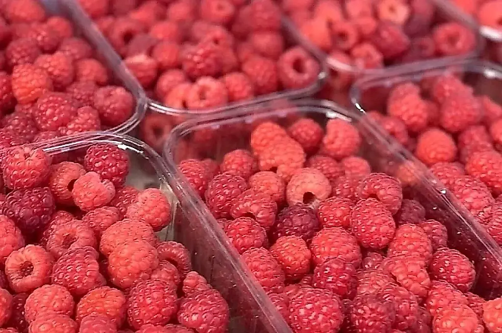 Frambuesas: mitos peligrosos