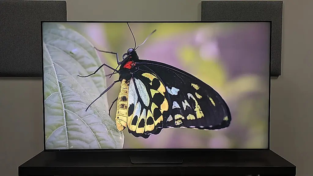 Dolby Vision 2 становится доступнее: дешевле, проще – но не для всех