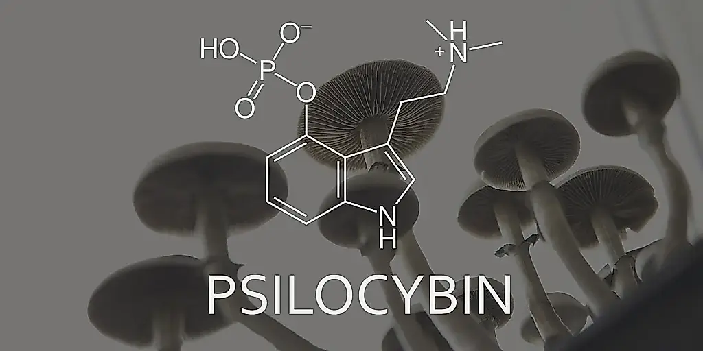 Psilocibina: ¿una nueva esperanza contra el dolor y la depresión?