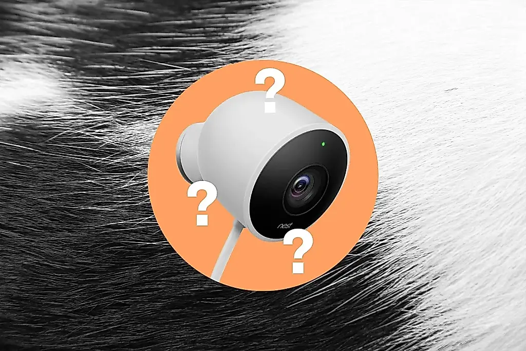 Hogar inteligente, gatos olvidados: el fracaso de Pet Memory de Google