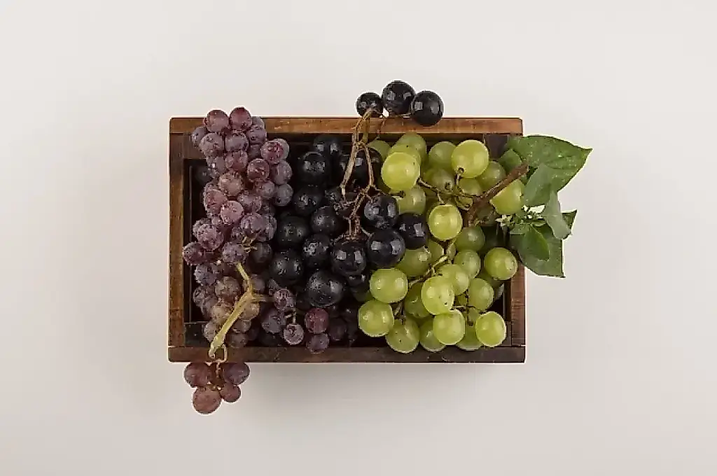 Cómo conservar las uvas frescas durante más tiempo