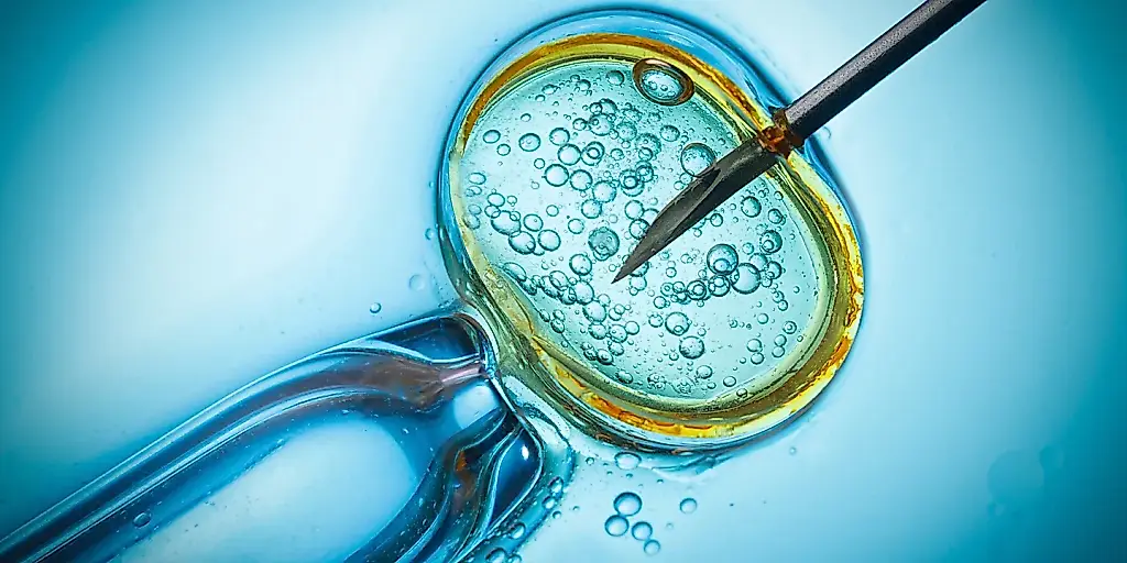 Hormonas, embriones y niños grandes