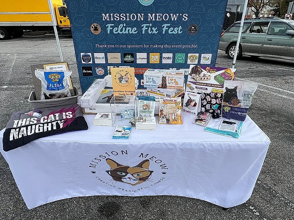 Feline Fix Fest 2026: el festival donde los gatos arreglan a la humanidad