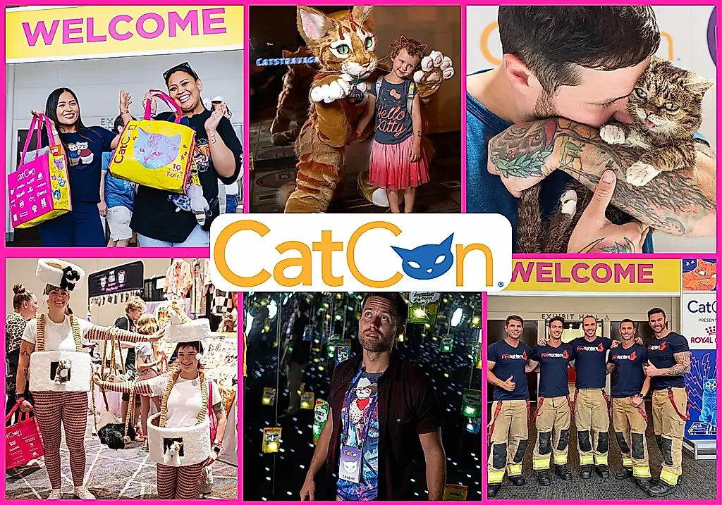 CatCon 2026: una convención de personas al servicio de los gatos