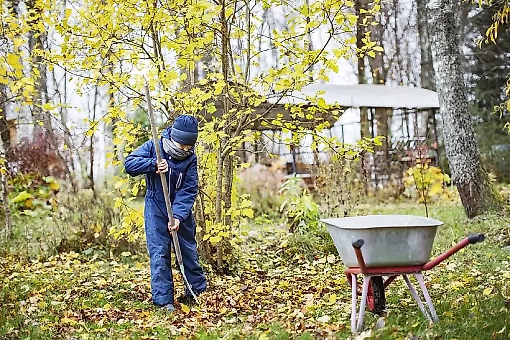 Octubre en la casa de campo: nueve tareas que salvarán la primavera
