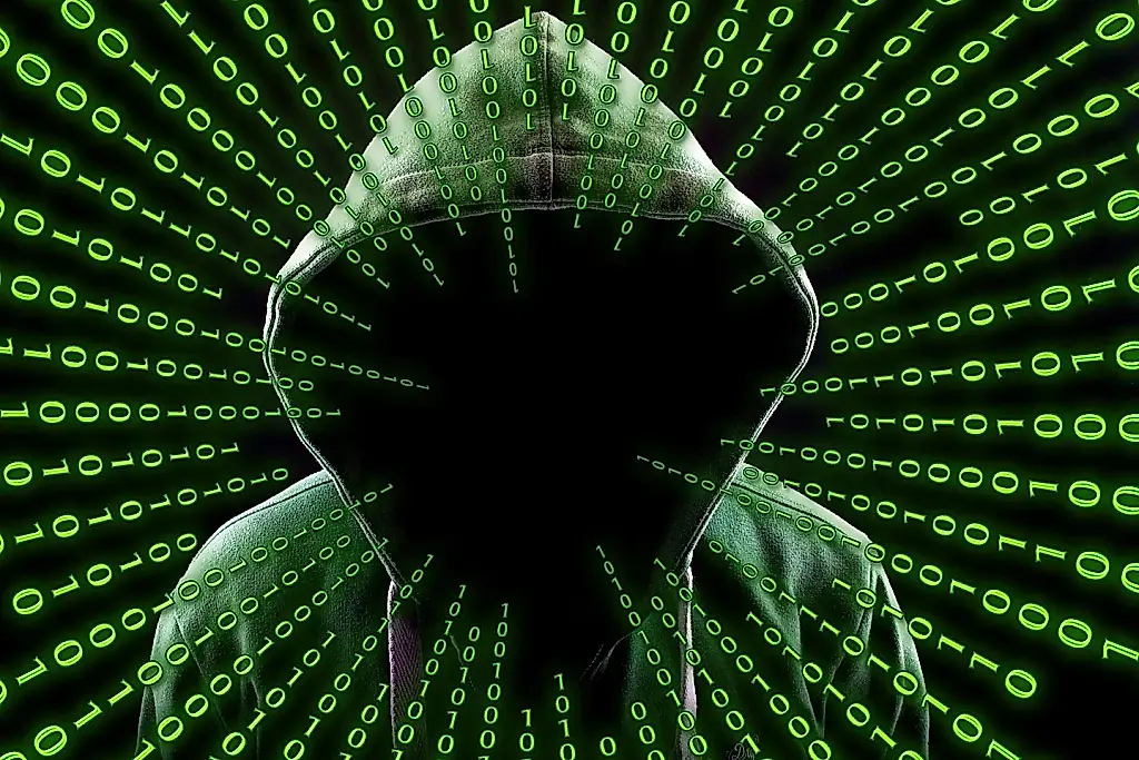 VPN falso, instalador auténtico y contraseñas robadas