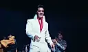 Elvis