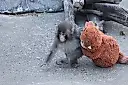 Punch