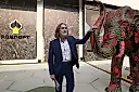 Никас Сафронов