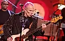 Flea