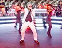 Pitbull