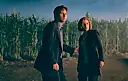Секретные материалы