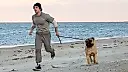 Rocky