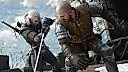 The Witcher