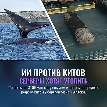 Дата-центры против китов: ИИ собрался на дно
