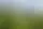 Cuando la hogweed se apodera de las casas de campo