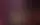 Спрингстин против ICE