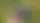 Notas de viaje sobre una cámara Panasonic