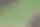 Cómo cultivar ajos como puños