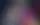 Оливия Родриго и Рэй на Coachella