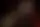 Bob Dylan no se rinde