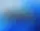 Microsoft rediseña el menú «Ejecutar» de Windows 11: ahora con tema oscuro