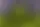 Senadores contra la IA autónoma