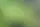 Un agrónomo explica cómo proteger los tomates de las enfermedades en época de lluvias
