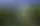 Los Renoir desaparecieron antes del amanecer