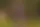 Anna Semenovich elige la casa de campo en vez del spa: jardín de flores, tardes en familia y barbacoa con agua con gas