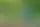 Что делать в саду в августе