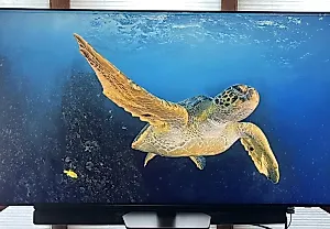 Лучшие телевизоры для просмотра спорта: Технология мини-LED на высоте!