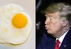 Мем "Трамп берет яйцо": абсурдная реальность или куриное безумие?