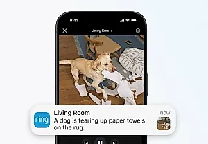 Новая фишка от Ring: ИИ слишком умный, чтобы спасать нас от собачников и современного бабского детектива!