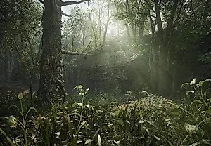 Новая жизнь старой классики: Metal Gear Solid Delta: Snake Eater