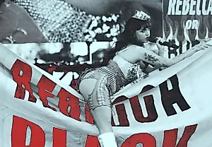 Ребекка Блэк: Бюджет для Звезды