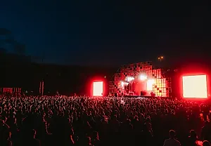 Лондонские фестивали уходят вегетарианство: Junction 2 и Paradise In The City без мяса