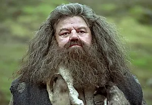«Гарри Поттер» HBO: Котёл с двойным дном?