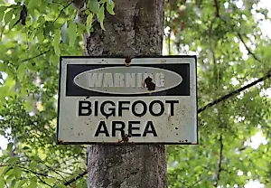 Bigfoot — теперь и эмодзи: Unicode добавит "волосатое существо" в сентябре