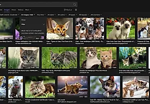 DuckDuckGo скрывает ИИ-изображения