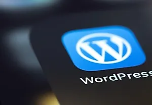 Взлом WordPress: найден критический баг в теме для благотворительных сайтов