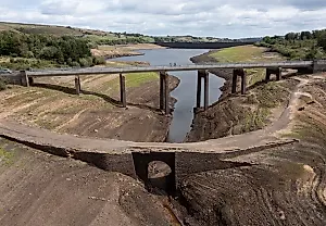 Власти Британии советуют удалять файлы ради спасения воды