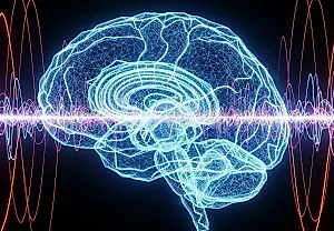 Простые ритмы полностью меняют сеть мозга