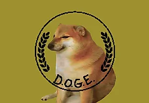 Новое искусство невостребованных данных: сотрудники DOGE и паранойя Трампа