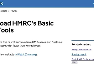 Обзор HMRC Basic PAYE Tools – каким будет ваш микробизнес на британской бухгалтерской кухне