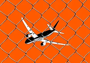 Amazon, Google и Microsoft экстренно собирают сотрудников из-за новых визовых ограничений США