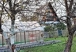 Осень, дача, паника: что делать до морозов?