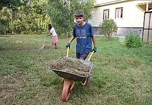 7 важных дел для дачи перед зимой